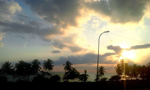 Low angle view of silhouette trees against sky during sunset