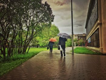 Rear view of men walking on road amidst trees against sky