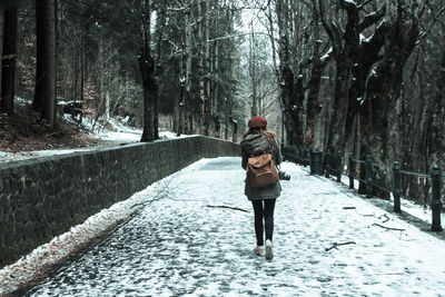 Rear view of siblings walking on footpath in forest during winter