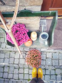 Low section of person standing by flowering plants