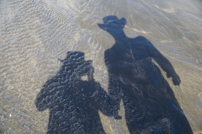 High angle view of shadow on shore