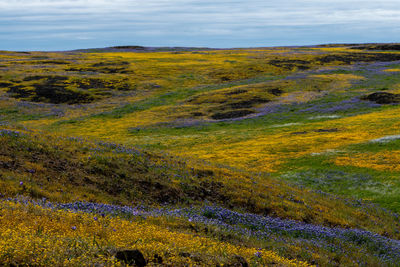 Scenic view of land against sky during autumn