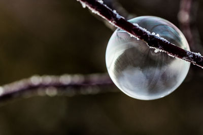 Close-up of crystal ball