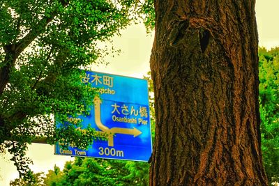 Information sign on tree trunk