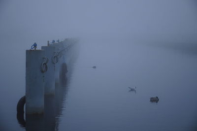 Bollards in sea during foggy weather