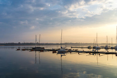 Sailboats in marina at sunset