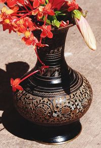 Close-up of red flowers