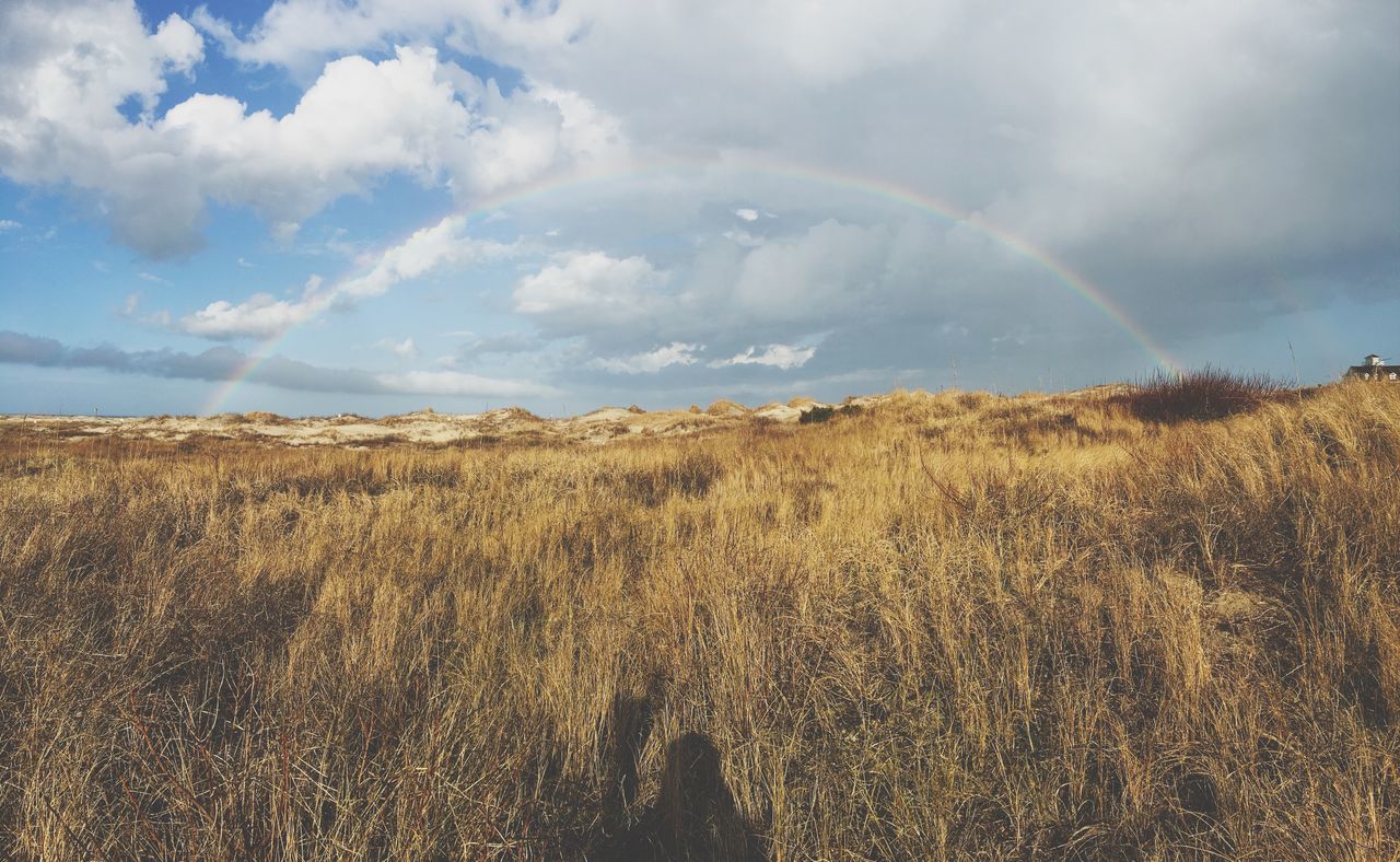 field, nature, sky, landscape, tranquil scene, tranquility, grass, beauty in nature, scenics, cloud - sky, no people, day, outdoors, growth