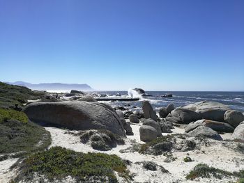 Rocks by sea against clear blue sky