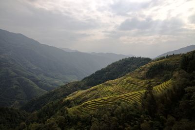 Scenic view of agricultural landscape against sky