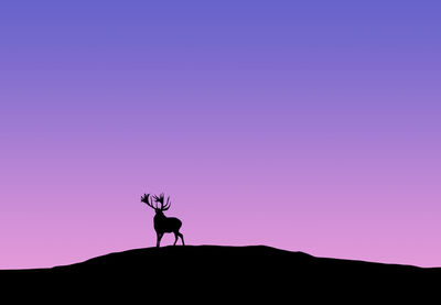 Low angle view of silhouette deer on mountain against clear sky during sunset