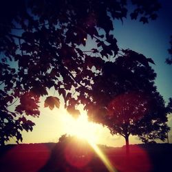 Silhouette trees against sky during sunset