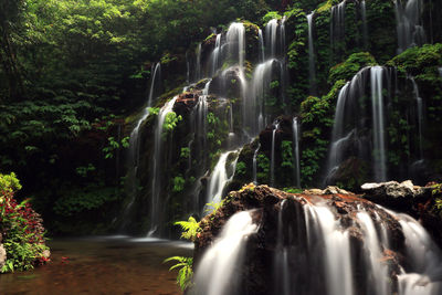 Scenic view of waterfall in forest