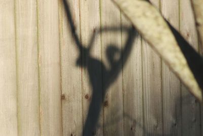 Shadow of fence on wall