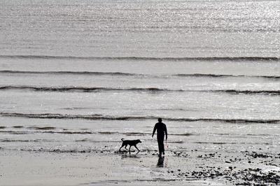 Man walking with dog on beach