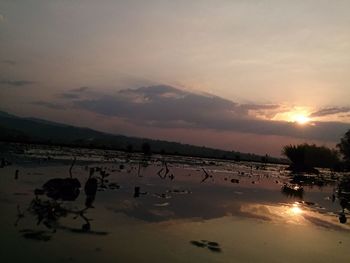 Scenic view of beach against sky during sunset