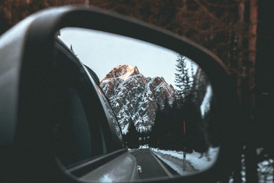 Reflection of trees on side-view mirror