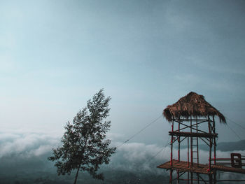 Low angle view of tree and building against sky