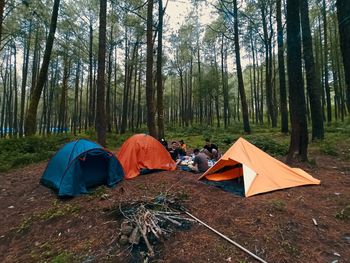 Tent in forest