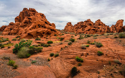 Rock formations in a desert