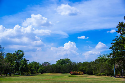 Trees on landscape against blue sky