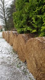 Hay bales on field against sky