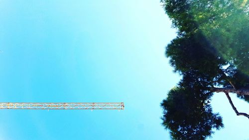 Low angle view of trees against clear blue sky