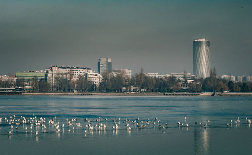 Sea by cityscape against sky