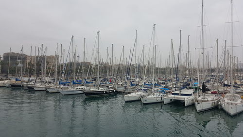Sailboats moored in harbor