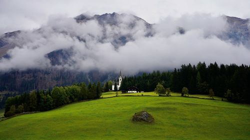 Scenic view of agricultural field against sky