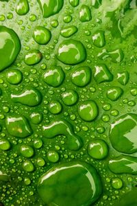 Full frame shot of wet leaf