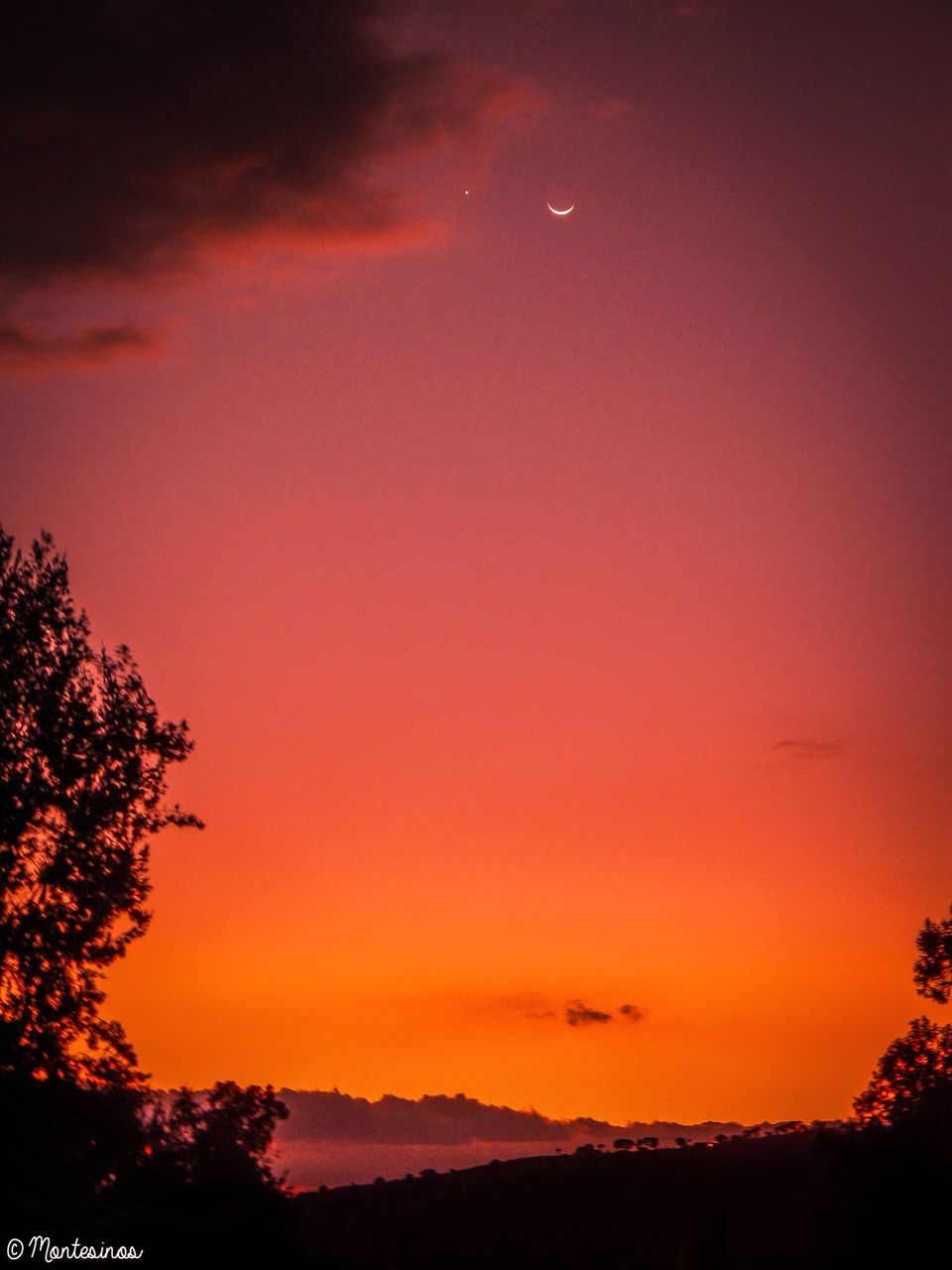 sunset, silhouette, orange color, scenics, tranquil scene, tranquility, beauty in nature, tree, sky, idyllic, nature, landscape, non-urban scene, majestic, dusk, outdoors, flying, low angle view, copy space, remote