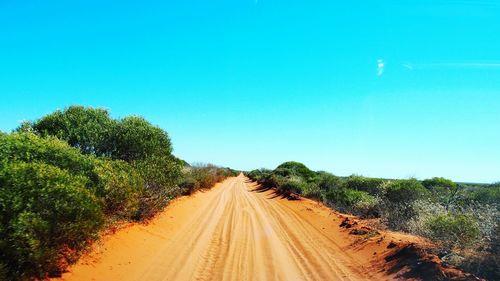 Scenic view of trees against clear blue sky