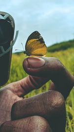 Cropped hand holding butterfly against sky