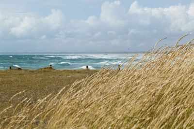 Scenic view of beach against sky