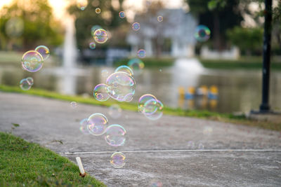 Floating bubbles in garden.