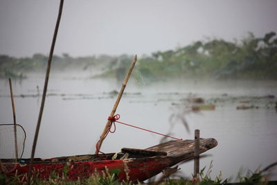 Close-up of plants by lake against sky