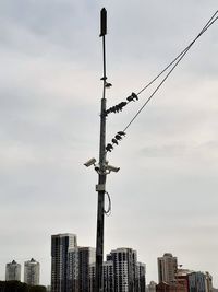 Low angle view of street light and buildings against sky