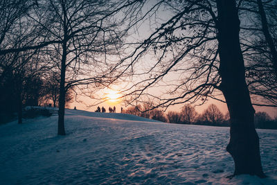 Bare trees on snow covered landscape against sky during sunset