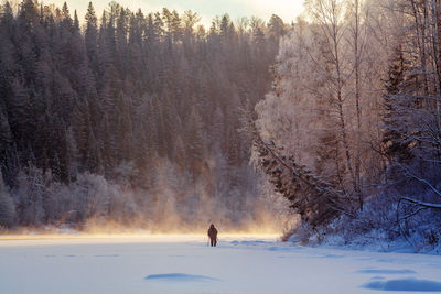 Rear view of hiker walking on snow covered field