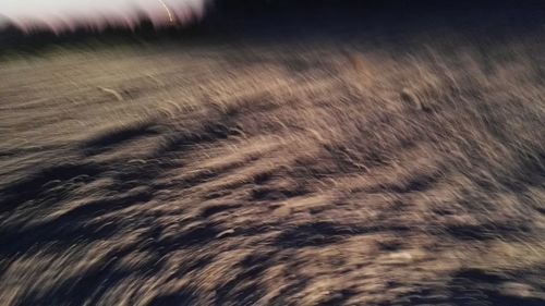 Full frame shot of tiled floor