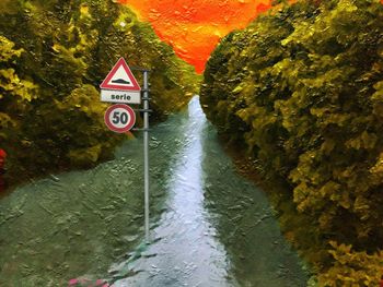 Reflection of trees in water