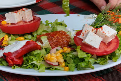 Close-up of food in plate