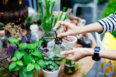 Florist spraying water on plants