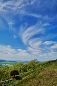 Scenic view of landscape against cloudy sky