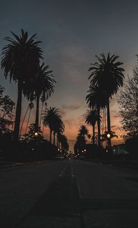 Silhouette palm trees against sky at night