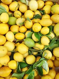 Full frame shot of citrons at market stall