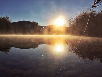 Sun shining through trees