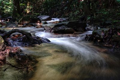 Scenic view of waterfall in forest