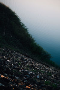 High angle view of trees by lake against sky